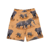 Shorts de algodão (orgânico)